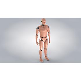 3D model Crash Test Dummy